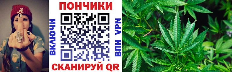 Канабис ГИДРОПОН Новосокольники